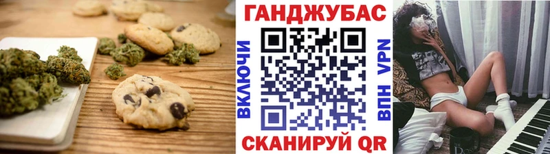 mega как войти  Электрогорск  Еда ТГК конопля 