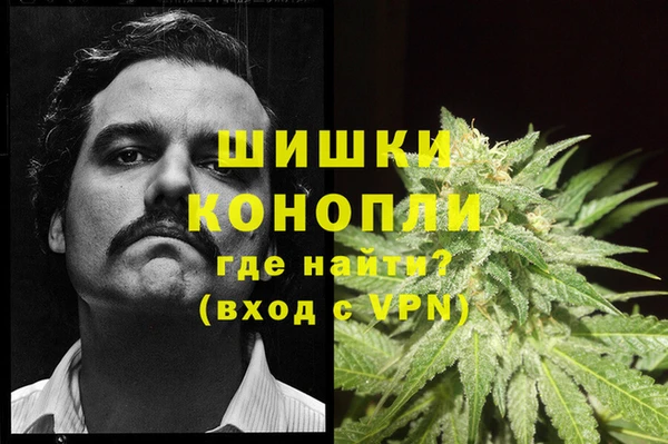 бошки Волоколамск