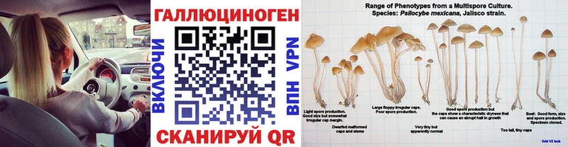 Псилоцибиновые грибы GOLDEN TEACHER Электрогорск